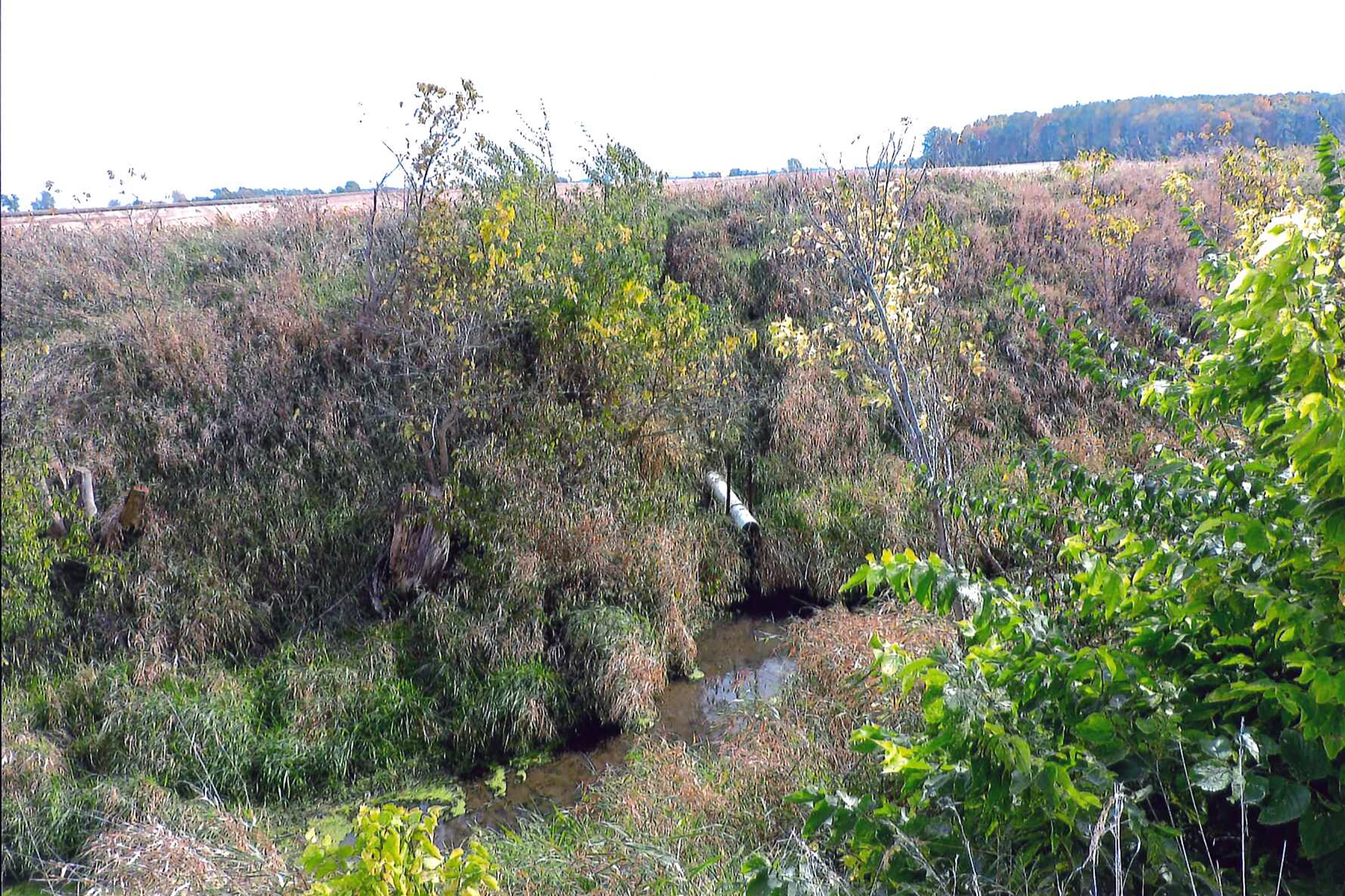 TRACT 3 - LAND AUCTION - 180+/- ACRES OFFERED IN 5 TRACTS IN WHITE COUNTY, INDIANA